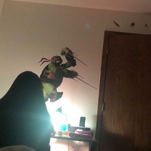 Meet your Posher, Ha